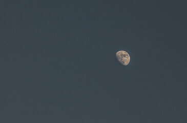 Luna creciente en cielo gris