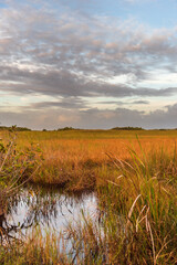 Looking out over the 