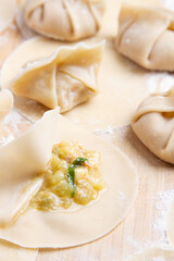 Handmade Dumplings in Preparation Authentic Home Cooking of Chinese food
