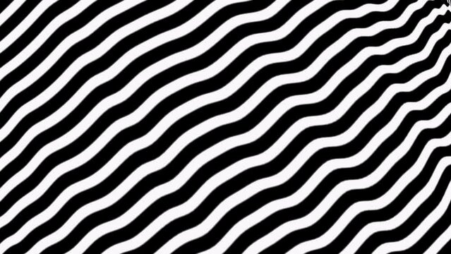 
Abstract black zigzag stripes moving on a white background.
Seamless loop video.