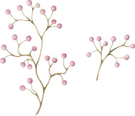 Hand drawn vintage branch with pink berries. Watercolor Illustration