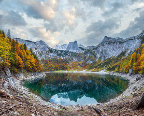 Tree stumps after deforestation near Hinterer Gosausee lake, Upper Austria. Autumn Alps mountain lake with clear transparent water and reflections. Dachstein summit and glacier in far.