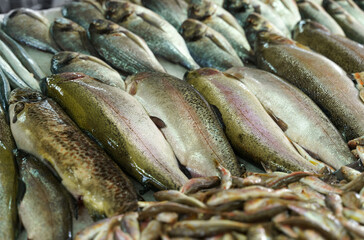 Freshly caught fish lies on the counter in the market.