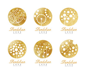 Dandelion logo design set. Elegant flower watercolor badges. Spa, cosmetic, boutique, shop labels vector illustration
