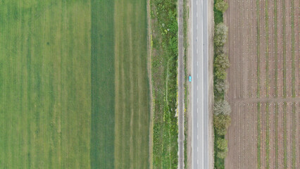 Gray asphalt road between vineyard and green field. Farm Ukrainian landscape. Drone photo