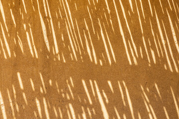 Shade patterns on the ground at Wadi el-Hitan paleontological site.