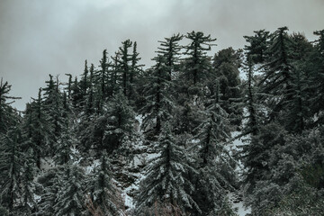 Misty and foggy clouds hang low over rugged mountains and evergreen trees, covered in snow, with stormy skies and eerie spooky colors