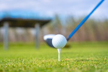 Golf driver stick preparing to hit the ball. playing golf
