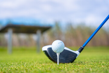 Golf driver stick preparing to hit the ball. playing golf
