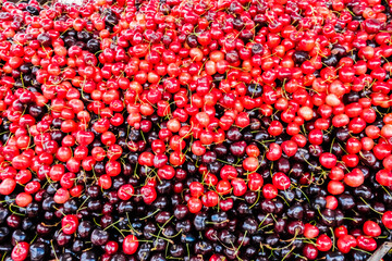 A bunch of red cherries for sale at a summer roadside stall.