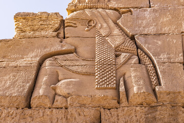 Carving of the vulture goddess Mut at Kom Ombo temple.