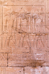 Carving of the god Anubis in the Temple of Horus at Edfu.