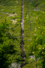 Straight path on the steep slopes of the Koko Crater Railway Trail in the suburbs of Honolulu on O'ahu island, Hawaii - obrazy, fototapety, plakaty