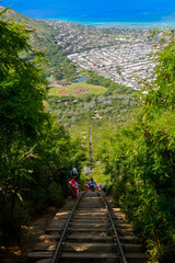 View of a residential neighborhood in the suburbs of Honolulu on O'ahu island in Hawaii, as seen from the steeps slopes of the Koko Crater Railway Trail - obrazy, fototapety, plakaty