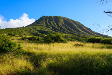 Green slopes of the Koko Crater in the suburbs of Honolulu on O'ahu island in Hawaii - Steep ridges offering great hikes over the Pacific Ocean - obrazy, fototapety, plakaty
