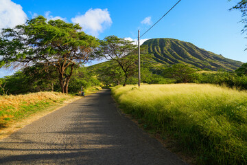 Fototapeta na wymiar Dirt path surrounding the green slopes of the Koko Crater in the suburbs of Honolulu on O'ahu island in Hawaii - Steep ridges offering great hikes over the Pacific Ocean