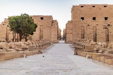 Avenue of the Rams Headed Sphinxes at the Karnak Temple complex in Luxor.
