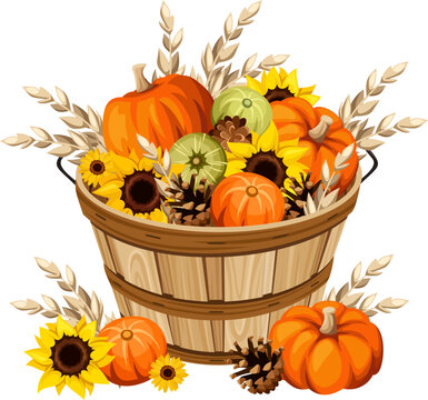 Pumpkins, ears of wheat, and sunflowers in a wooden bucket isolated on a white background. Autumn harvest. Vector illustration