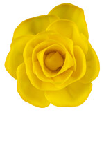 Kwiat żółtej róży 