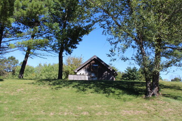 Obraz premium old house in the woods