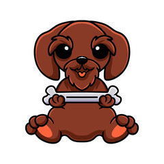 Cute pudelpointer dog cartoon holding a bone