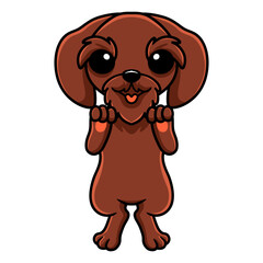 Cute pudelpointer dog cartoon standing