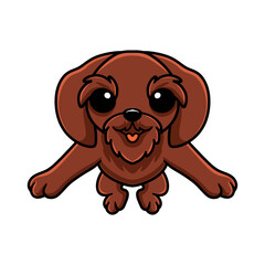 Cute pudelpointer dog cartoon posing