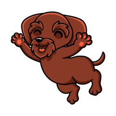 Obraz premium Cute pudelpointer dog cartoon posing