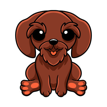 Cute pudelpointer dog cartoon sitting