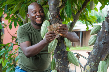 A happy African male farmer, trader, entrepreneur or businessman from Nigeria, holding and...