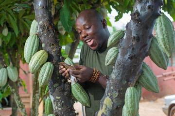 A happy African male farmer, trader, entrepreneur or businessman from Nigeria, holding multiple...