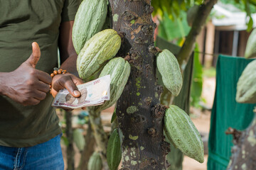 Hand of an African farmer, trader, entrepreneur or businessman from Nigeria, doing thumbs up...