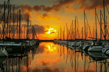 sunset in the harbor