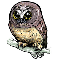 owl on a branch
