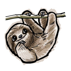 Sloth