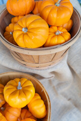収穫祭や、ハロウィンにぴったりな、カボチャ小さくてかわいいカボチャ