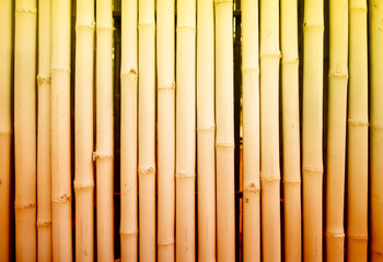 Concept image. Bamboo background pattern.