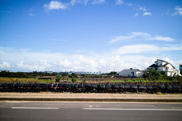 Naklejka premium 제주도 풍경