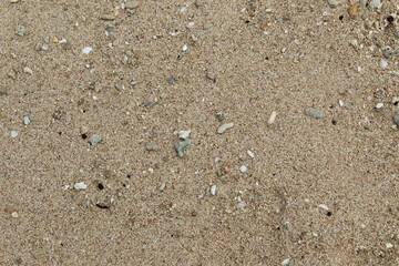 many groups of sand on the beach