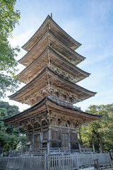 Fototapeta premium 妙成寺