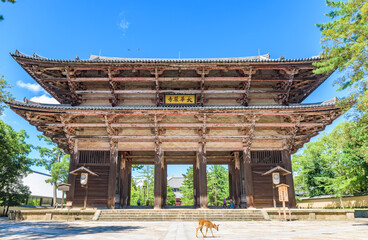 Fototapeta Nandai-mon (Great South Gate) of the Todai-ji Temple in Nara, National Treasure of Japan obraz