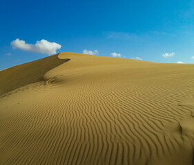 Fototapeta na wymiar Sand dunes in the desert. Medanos de Coro