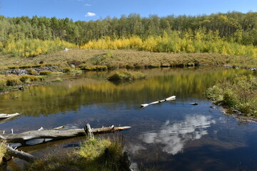 Obraz na płótnie Canvas Autumn reflection on water