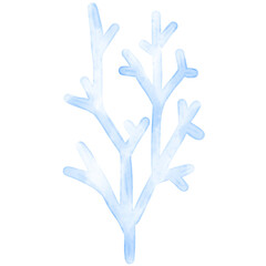 Fototapeta premium watercolor coral