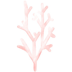 watercolor coral