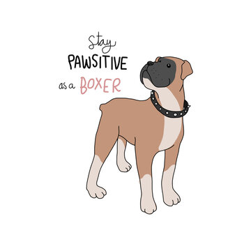 Stay pawsitive as a boxer dog cartoon vector illustration