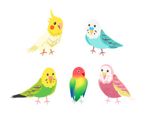 set with cute cartoon parrots illustrations