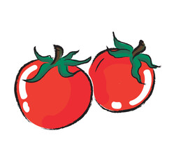 tomato hand drawing illustration