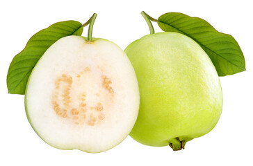 Guava fruit with leaf isolated on white background, Fresh green guava on White PNG file.