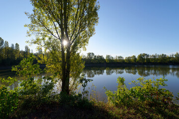  Old gravel pits of the Bois de l'île  nature reserve in the Loire valley